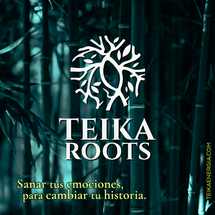 TEIKA ROOTS · Programa integral